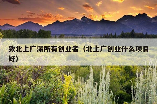 致北上广深所有创业者（北上广创业什么项目好）