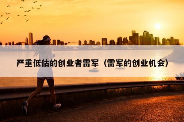 严重低估的创业者雷军(雷军的创业机会) 严重低估的创业者雷军(雷军的创业机会)