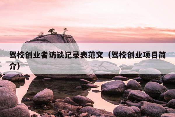 驾校创业者访谈记录表范文（驾校创业项目简介）