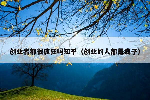 创业者都很疯狂吗知乎（创业的人都是疯子）
