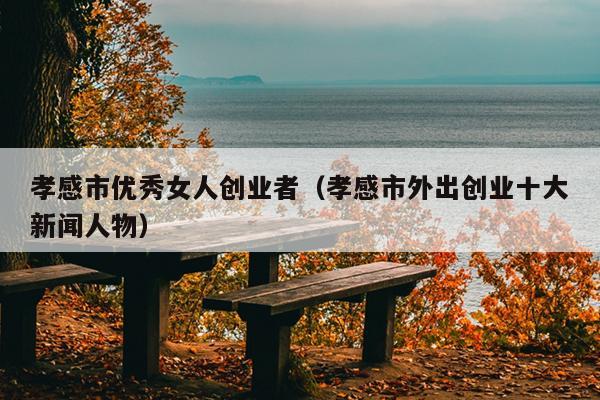 孝感市优秀女人创业者(孝感市外出创业十大新闻人物) 孝感市优秀女人创业者(孝感市外出创业十大新闻人物)
