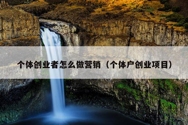 个体创业者怎么做营销(个体户创业项目) 个体创业者怎么做营销(个体户创业项目)