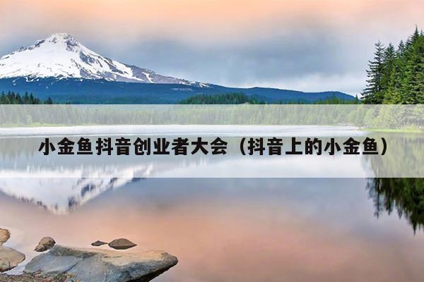 小金鱼抖音创业者大会(抖音上的小金鱼) 小金鱼抖音创业者大会(抖音上的小金鱼)