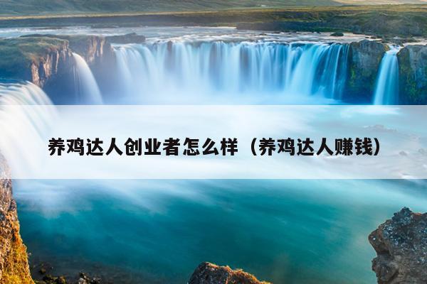 养鸡达人创业者怎么样(养鸡达人赚钱) 养鸡达人创业者怎么样(养鸡达人赚钱)