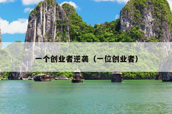 一个创业者逆袭(一位创业者) 一个创业者逆袭(一位创业者)