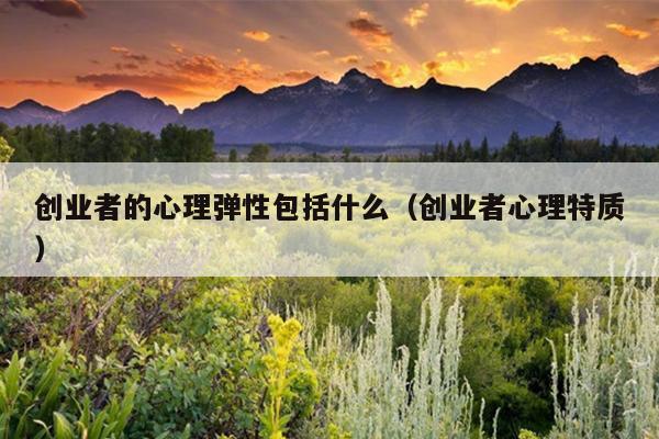 创业者的心理弹性包括什么(创业者心理特质) 创业者的心理弹性包括什么(创业者心理特质)