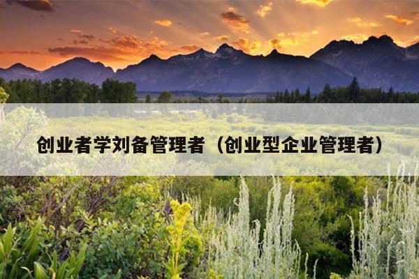 创业者学刘备管理者(创业型企业管理者) 创业者学刘备管理者(创业型企业管理者)