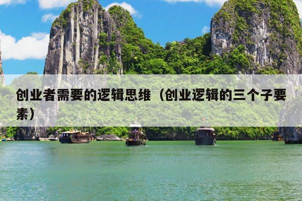 创业者需要的逻辑思维(创业逻辑的三个子要素) 创业者需要的逻辑思维(创业逻辑的三个子要素)