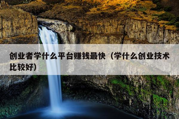 创业者学什么平台赚钱最快(学什么创业技术比较好) 创业者学什么平台赚钱最快(学什么创业技术比较好)