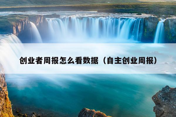 创业者周报怎么看数据（自主创业周报）