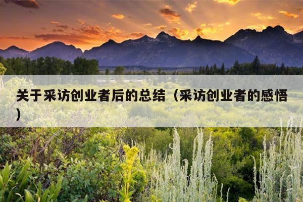 关于采访创业者后的总结(采访创业者的感悟) 关于采访创业者后的总结(采访创业者的感悟)