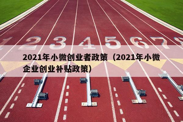 2021年小微创业者政策（2021年小微企业创业补贴政策）