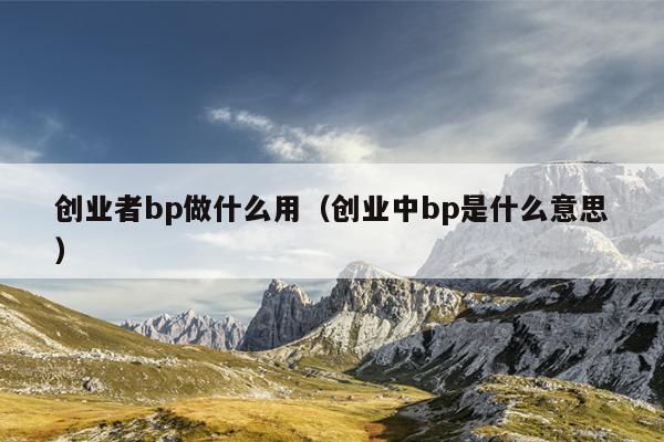 创业者bp做什么用(创业中bp是什么意思) 创业者bp做什么用(创业中bp是什么意思)