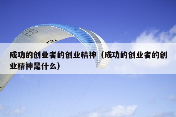 成功的创业者的创业精神(成功的创业者的创业精神是什么) 成功的创业者的创业精神(成功的创业者的创业精神是什么)