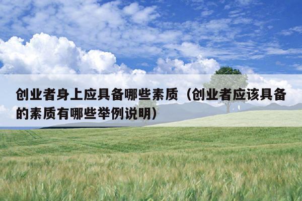 创业者身上应具备哪些素质(创业者应该具备的素质有哪些举例说明) 创业者身上应具备哪些素质(创业者应该具备的素质有哪些举例说明)