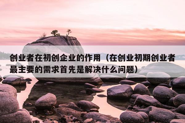 创业者在初创企业的作用（在创业初期创业者最主要的需求首先是解决什么问题）