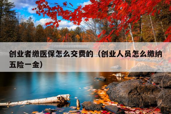 创业者缴医保怎么交费的(创业人员怎么缴纳五险一金) 创业者缴医保怎么交费的(创业人员怎么缴纳五险一金)