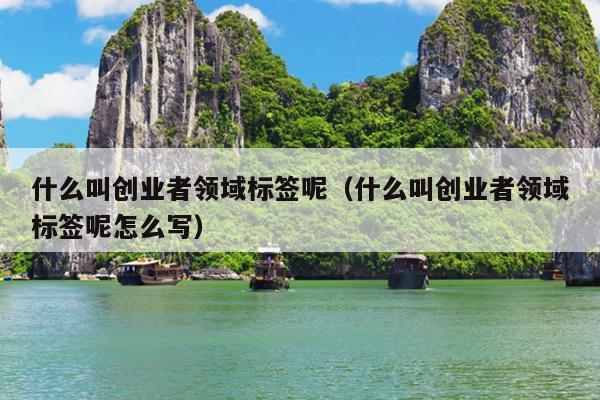 什么叫创业者领域标签呢(什么叫创业者领域标签呢怎么写) 什么叫创业者领域标签呢(什么叫创业者领域标签呢怎么写)