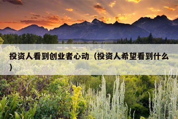 投资人看到创业者心动（投资人希望看到什么）