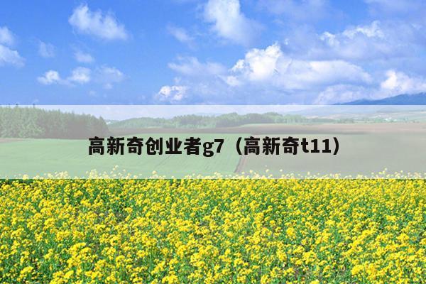 高新奇创业者g7(高新奇t11) 高新奇创业者g7(高新奇t11)