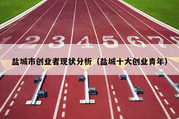 盐城市创业者现状分析(盐城十大创业青年) 盐城市创业者现状分析(盐城十大创业青年)