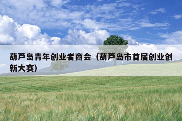 葫芦岛青年创业者商会（葫芦岛市首届创业创新大赛）