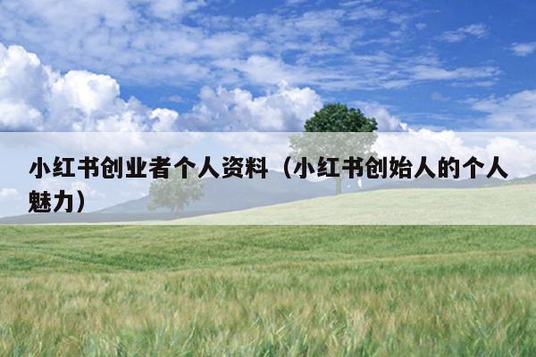 小红书创业者个人资料(小红书创始人的个人魅力) 小红书创业者个人资料(小红书创始人的个人魅力)