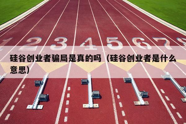 硅谷创业者骗局是真的吗（硅谷创业者是什么意思）