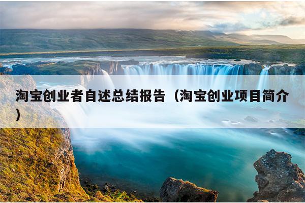 淘宝创业者自述总结报告（淘宝创业项目简介）