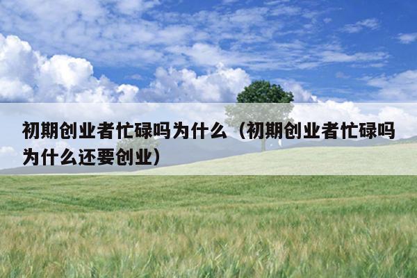 初期创业者忙碌吗为什么(初期创业者忙碌吗为什么还要创业) 初期创业者忙碌吗为什么(初期创业者忙碌吗为什么还要创业)