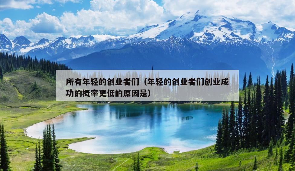 所有年轻的创业者们（年轻的创业者们创业成功的概率更低的原因是）