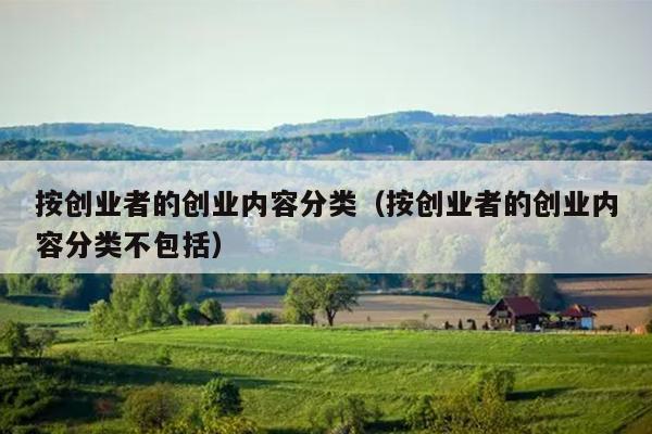 按创业者的创业内容分类(按创业者的创业内容分类不包括) 按创业者的创业内容分类(按创业者的创业内容分类不包括)