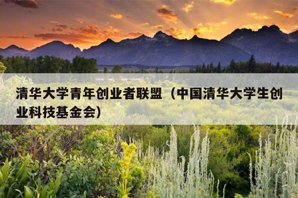 清华大学青年创业者联盟(中国清华大学生创业科技基金会) 清华大学青年创业者联盟(中国清华大学生创业科技基金会)