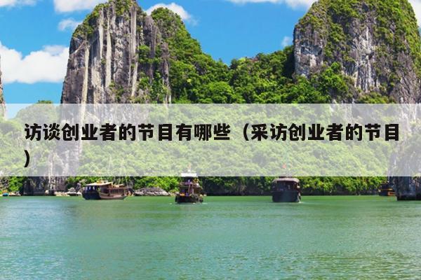 访谈创业者的节目有哪些（采访创业者的节目）