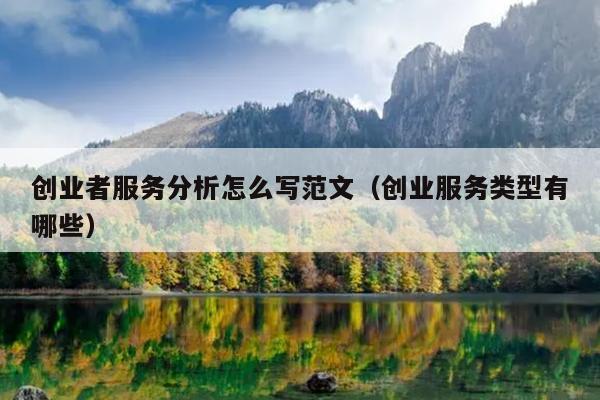 创业者服务分析怎么写范文（创业服务类型有哪些）