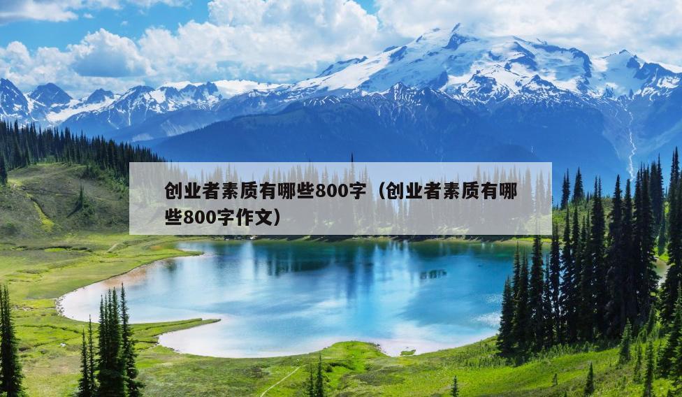 创业者素质有哪些800字（创业者素质有哪些800字作文）