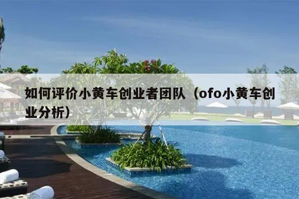 如何评价小黄车创业者团队(ofo小黄车创业分析) 如何评价小黄车创业者团队(ofo小黄车创业分析)