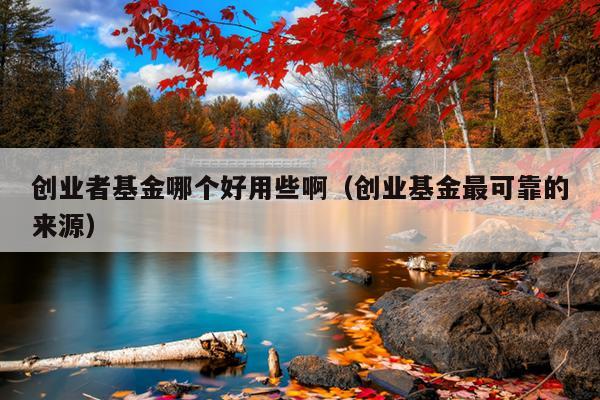 创业者基金哪个好用些啊(创业基金最可靠的来源) 创业者基金哪个好用些啊(创业基金最可靠的来源)