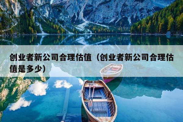 创业者新公司合理估值(创业者新公司合理估值是多少) 创业者新公司合理估值(创业者新公司合理估值是多少)