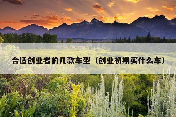 合适创业者的几款车型(创业初期买什么车) 合适创业者的几款车型(创业初期买什么车)