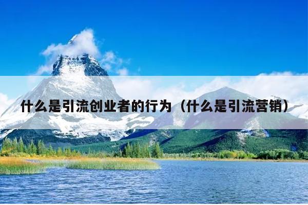 什么是引流创业者的行为(什么是引流营销) 什么是引流创业者的行为(什么是引流营销)