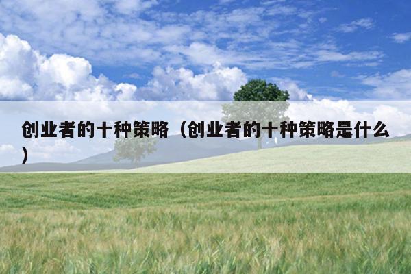 创业者的十种策略(创业者的十种策略是什么) 创业者的十种策略(创业者的十种策略是什么)