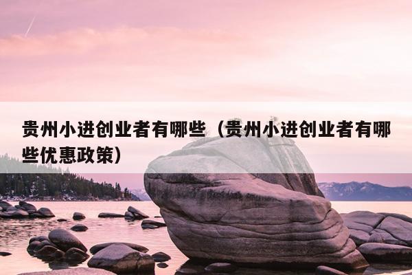 贵州小进创业者有哪些(贵州小进创业者有哪些优惠政策) 贵州小进创业者有哪些(贵州小进创业者有哪些优惠政策)