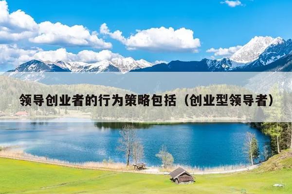 领导创业者的行为策略包括(创业型领导者) 领导创业者的行为策略包括(创业型领导者)
